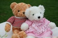 Two teddy bears Royalty Free Stock Photo