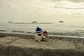 Two teddy bears in bobble hats on winter beach Royalty Free Stock Photo