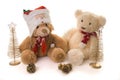 Two teddy bears in a christmas scene