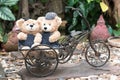 Two teddy bears on garden background Royalty Free Stock Photo