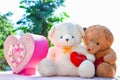 Two teddy bears hold heart shaped sitting on the table with nature background.