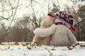 Two Teddy bears hugging each other sitting in the snow in the forest. Royalty Free Stock Photo