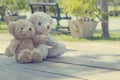 Two teddy bears hugging picnic Royalty Free Stock Photo