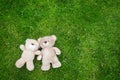 Two teddy bears laying down for Valentine background Royalty Free Stock Photo