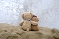 Two teddy bears on sea rock with wave splashing Royalty Free Stock Photo