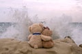 Two teddy bears on sea rock Royalty Free Stock Photo