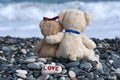 Two teddy bears in love on the beach Royalty Free Stock Photo