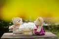 Two teddy bears in love sitting on wooden box and wood. And whit Royalty Free Stock Photo