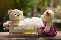 Two teddy bears in love sitting on wooden box and wood. And whit Royalty Free Stock Photo