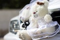 Two teddy bears - an ornament in front of car