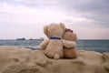 Two teddy bears on sea rock Royalty Free Stock Photo