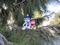 Two teddy bears sitting on pine tree branch Royalty Free Stock Photo
