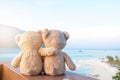 Two teddy bears sitting sea view. Love and relationship concept. Royalty Free Stock Photo