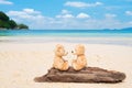 Two teddy bears sitting on the timber with sea view. Love and relationship concept. Beautiful white sandy beach in the summer Royalty Free Stock Photo