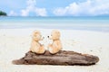 Two teddy bears sitting on the timber with sea view. Love and relationship concept. Beautiful white sandy beach in the summer Royalty Free Stock Photo