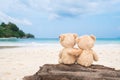 Two teddy bears sitting on the timber with sea view. Love and re