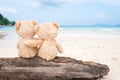 Two teddy bears sitting on the timber with sea view. Love and re Royalty Free Stock Photo