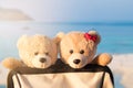 Two teddy bears sitting in valise. Love and relationship concept Royalty Free Stock Photo