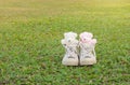 Two teddy bears in sneakers on the grass. Warm tones Royalty Free Stock Photo
