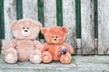 Two Teddy bears toys summer with flowers on a vintage wooden background, Royalty Free Stock Photo
