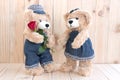 Two teddy bears on wood background Royalty Free Stock Photo