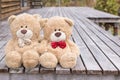 Two teddy brown bear sitting on terrace house