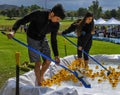 Two teens sweep rubber duckies to the start line at the Rubber Ducky Festival Royalty Free Stock Photo