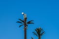 Two Telephone tower in the form of a palm tree Royalty Free Stock Photo