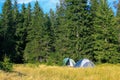 Two tents camping in the mountains in pine forest