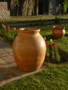 Two terracota pots