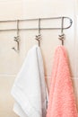 Two terry towels hanging on a hooks