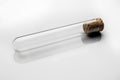 Two test tube closed with cork on white background diagonal