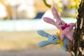 Two textile toys hare peeking from behind a birch tree trunk. Close-up. Blurred background