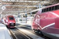 Two Thalys high-speed trains stationing in Brussels-South railway station Royalty Free Stock Photo