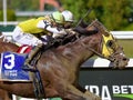 Thoroughbred Racing Action from Belmont Park