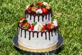 Two tier cake with fresh strawberries.
