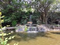 The two tigers chilling and relax at the Khao Keow open zoo at Sri Racha, Chonburi, Thailand