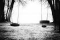 Two tire swings Royalty Free Stock Photo