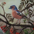 Two titmouse birds on a branch in spring in a circle. Round. Painting. round shape. antique plate with hand painting.