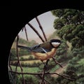 Two titmouse birds on a branch in spring in a circle. Round. Painting. round shape. antique plate with hand painting. Royalty Free Stock Photo