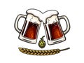 Two toasting beer mugs, barley or wheat ear and hop cone. Vector illustration