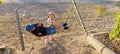 Two toddlers having fun with hammock on the beach Royalty Free Stock Photo