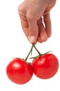 Two tomato in hand isolated on white background Royalty Free Stock Photo