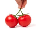 Two tomato in hand isolated on white background Royalty Free Stock Photo