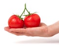 Two tomato in hand isolated on white background Royalty Free Stock Photo