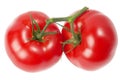 Two tomatoes Royalty Free Stock Photo