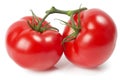 Two tomatoes Royalty Free Stock Photo