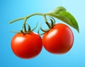Two tomatoes on branch with leaves over light blue background with copy space, AI generated Royalty Free Stock Photo