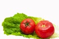 Two tomatoes Royalty Free Stock Photo