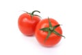 Two tomatoes isolated with a sprig on a white background. Ripe red vegetables. Close up. Royalty Free Stock Photo